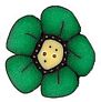 Small Leaf Wildflower